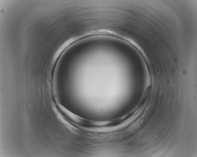 X0000080121054200612081247