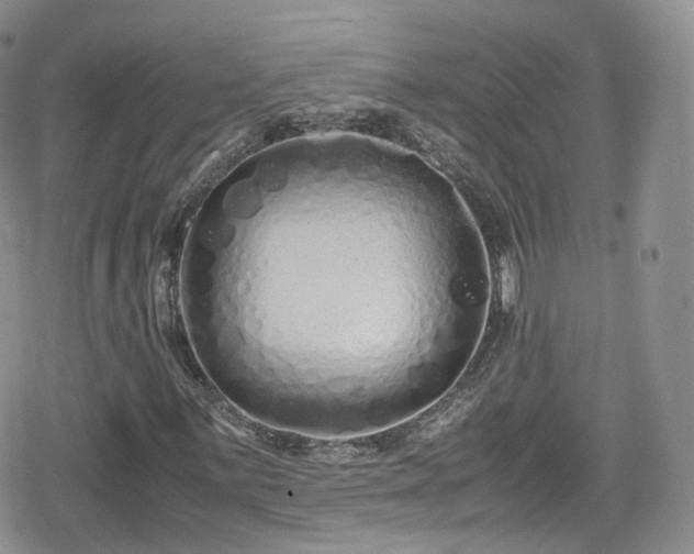 X0000080121059200612081246