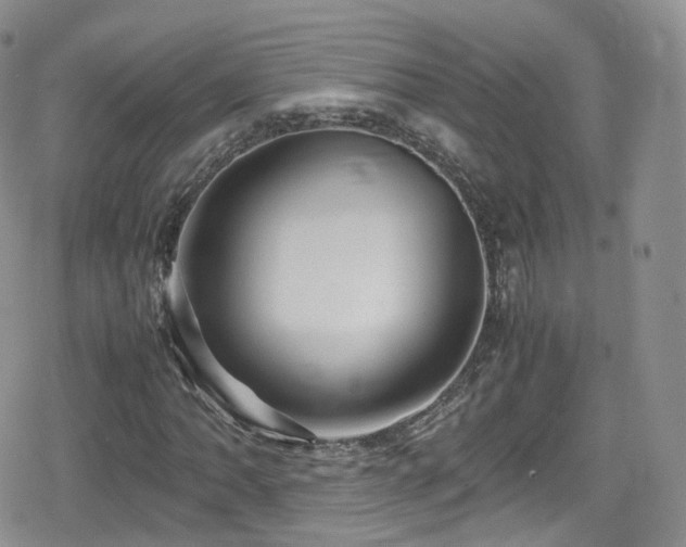 X0000080121062200612081246