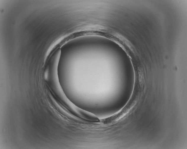 X0000080121069200612081246