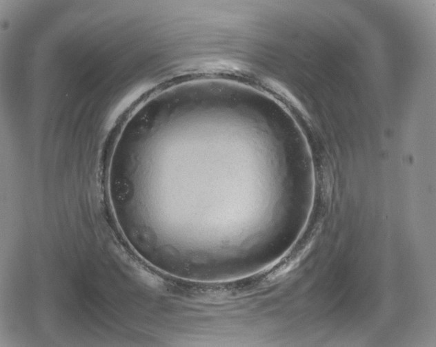 X0000080121071200612081246