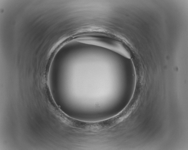 X0000080121073200612081246