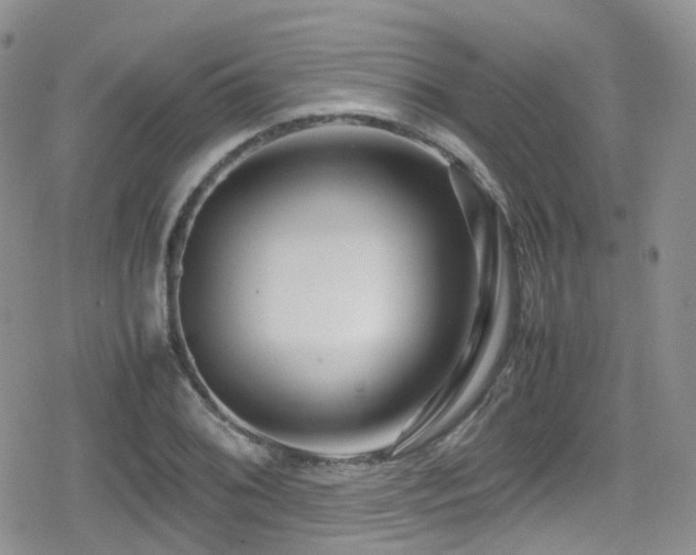 X0000080121076200612081246