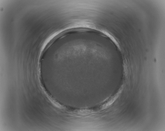 X0000080121077200612081246