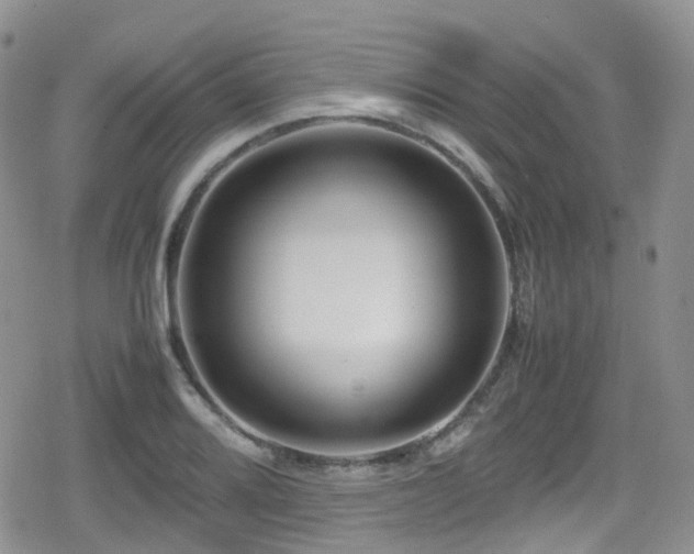 X0000080121080200612081246