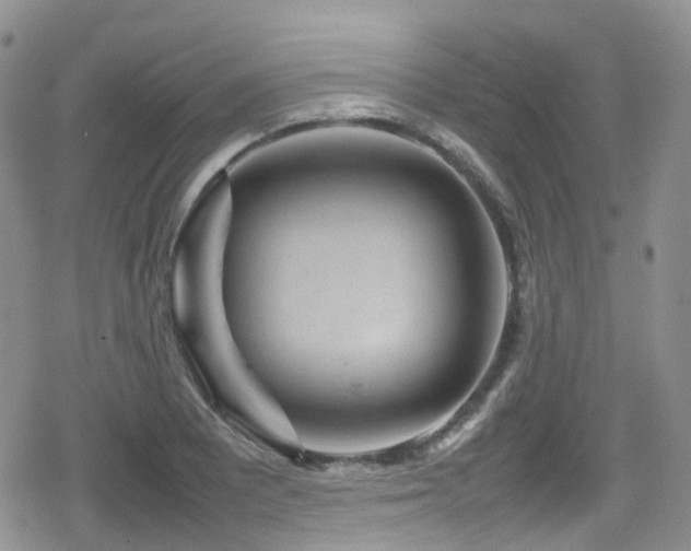 X0000080121081200612081246