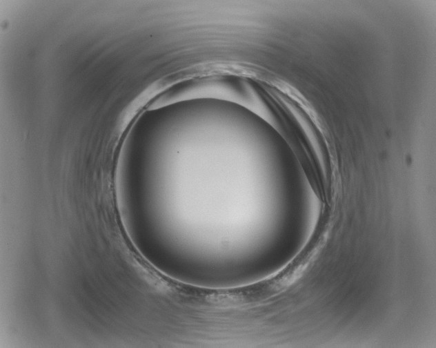 X0000080121089200612081246