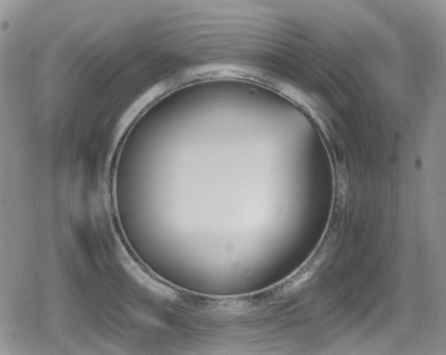 X0000080121090200612081246