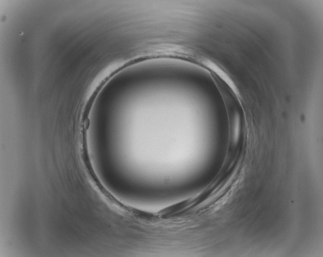 X0000080121093200612081246