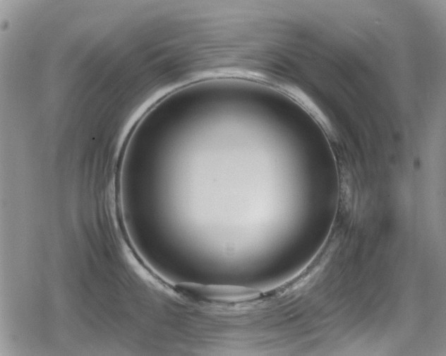 X0000080121100200612081246