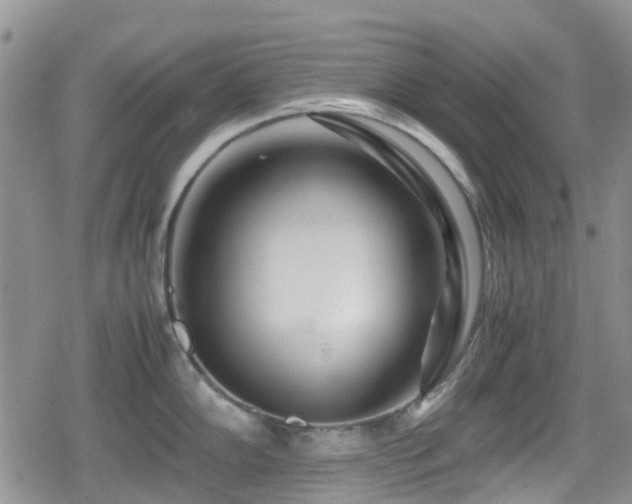 X0000080121102200612081246
