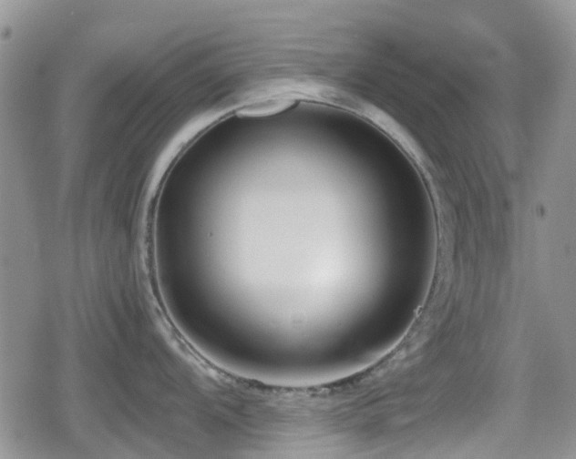 X0000080121104200612081246