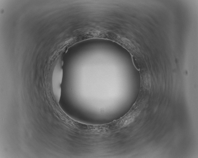 X0000080121105200612081245