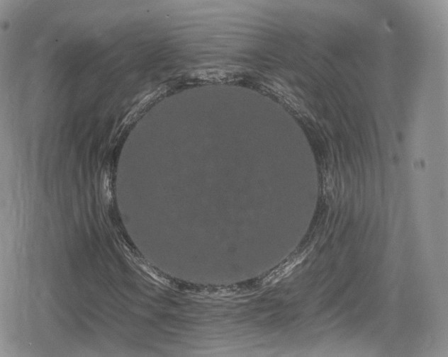 X0000080121106200612081245
