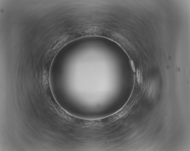 X0000080121107200612081245