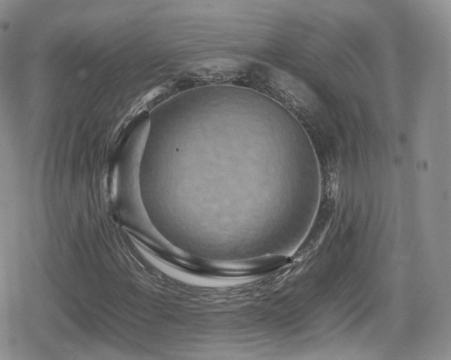 X0000080121108200612081245