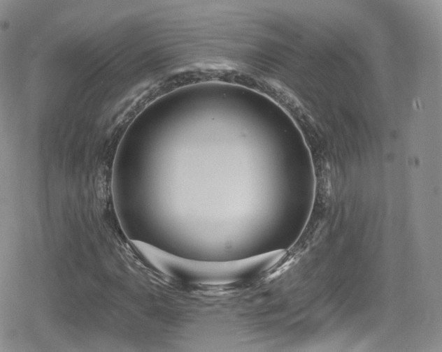 X0000080121110200612081245