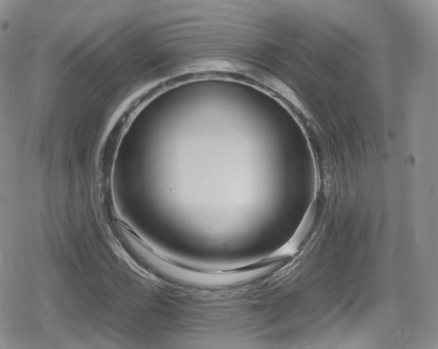 X0000080121116200612081245