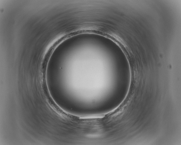 X0000080121119200612081245