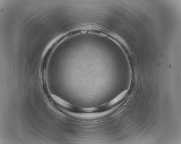 X0000080121120200612081245