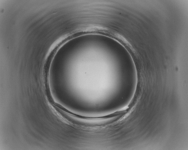 X0000080121122200612081245