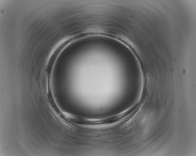 X0000080121123200612081245