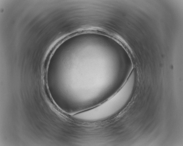 X0000080121124200612081245