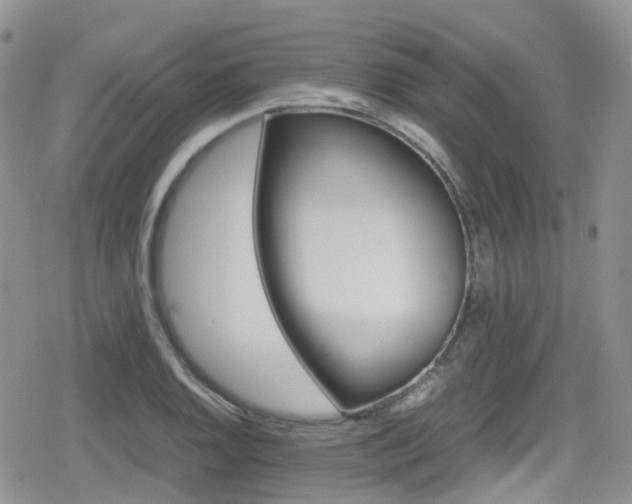 X0000080121128200612081245