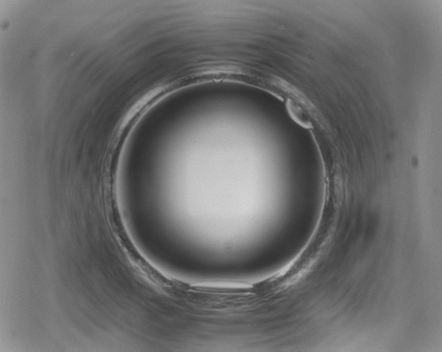 X0000080121129200612081245