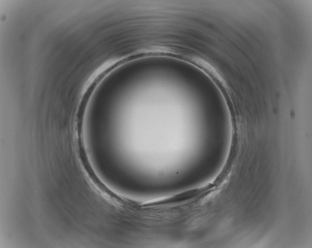 X0000080121133200612081245