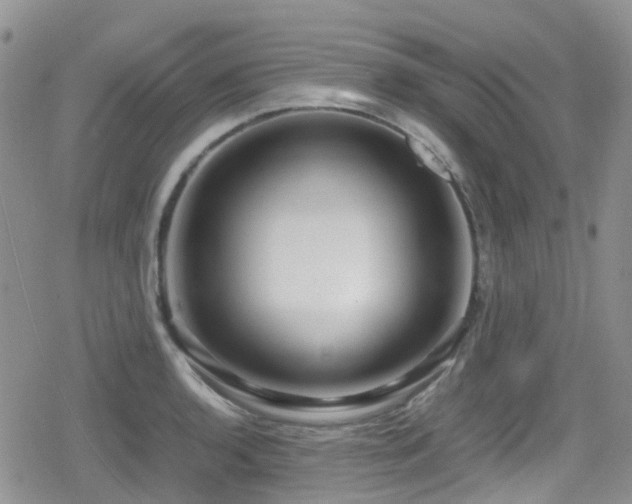 X0000080121136200612081245