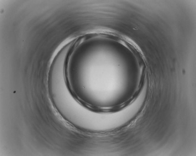X0000080121138200612081245