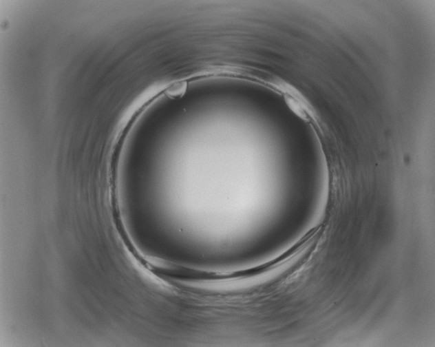 X0000080121143200612081245