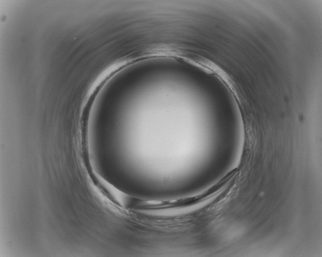 X0000080121147200612081245