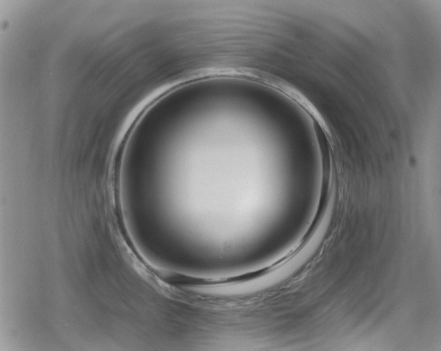 X0000080121148200612081245