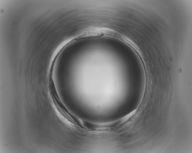 X0000080121152200612081246
