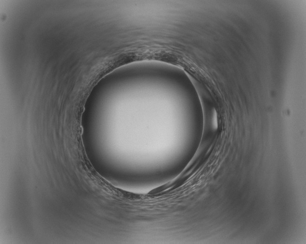 X0000080121153200612081245