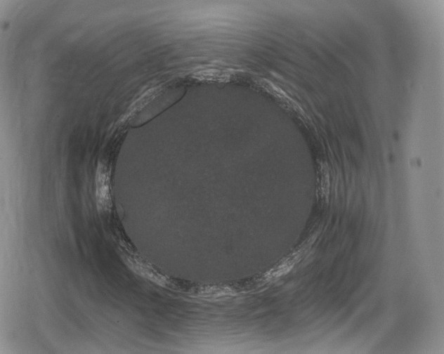 X0000080121154200612081245