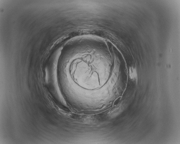 X0000080121155200612081245