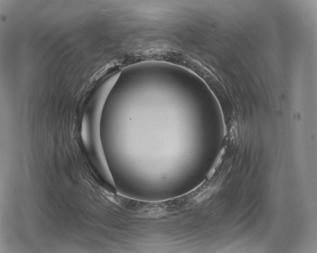 X0000080121156200612081245