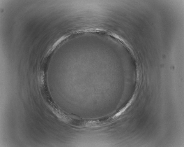 X0000080121161200612081245
