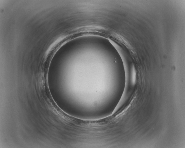 X0000080121164200612081245