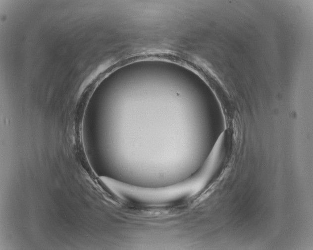 X0000080121165200612081245