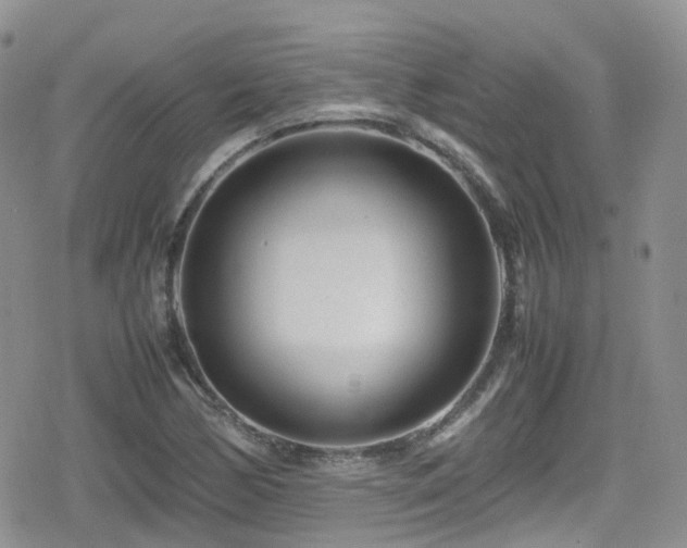 X0000080121170200612081245