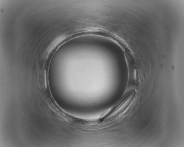 X0000080121171200612081244