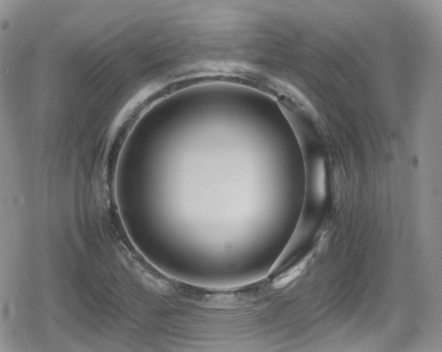 X0000080121172200612081244