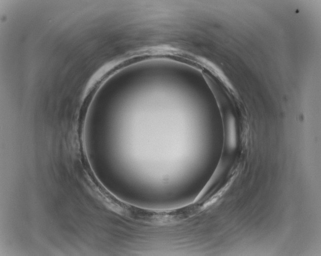 X0000080121176200612081244