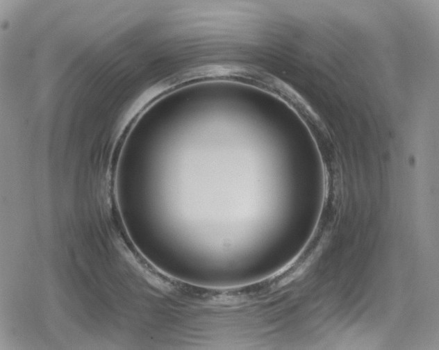 X0000080121178200612081244