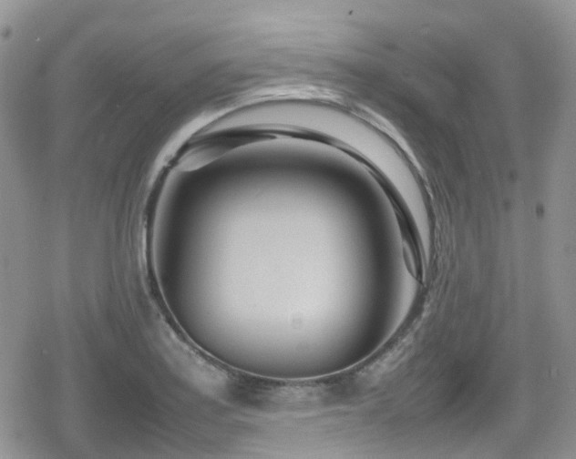 X0000080121179200612081244