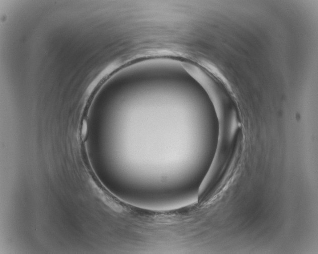 X0000080121181200612081244